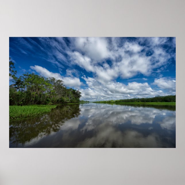 Peruvian Jungle Reflections Poster