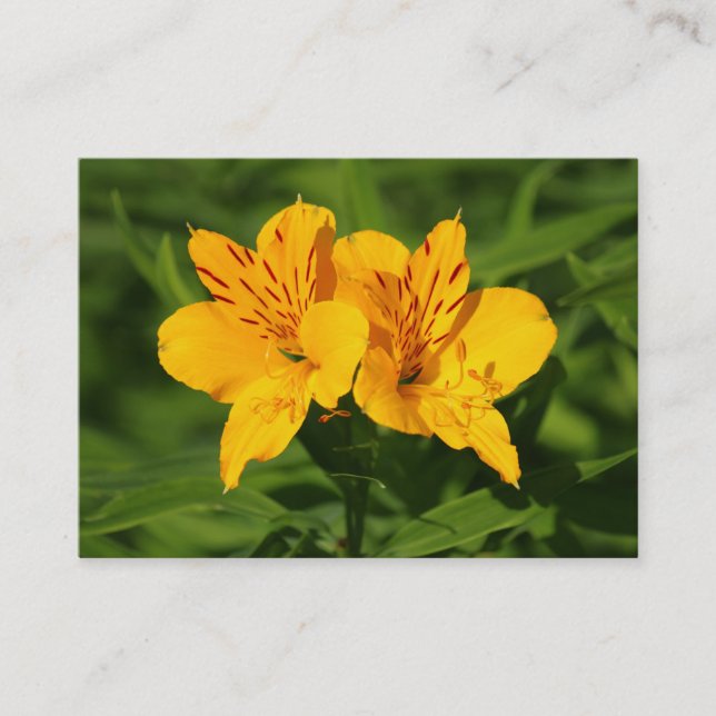 Peruvian Lilies Business Card (Front)