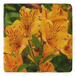 Peruvian Lilies Floral Stone Trivet
