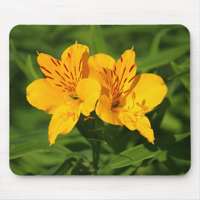 Peruvian Lilies Mouse Pad (Front)