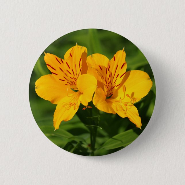 Peruvian Lilies Pinback Button (Front)