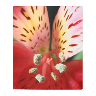 Peruvian Lily Wings Metal Wall Art