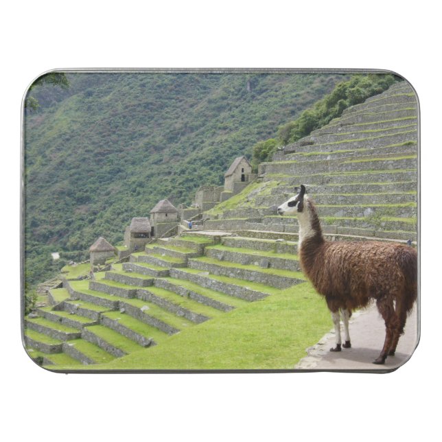 peruvian llama jigsaw puzzle (Case Horizontal)