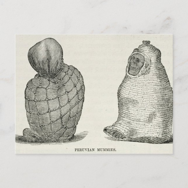 Peruvian Mummies Postcard (Front)