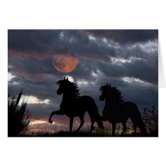 Peruvian Paso's in Moonlight Cards
