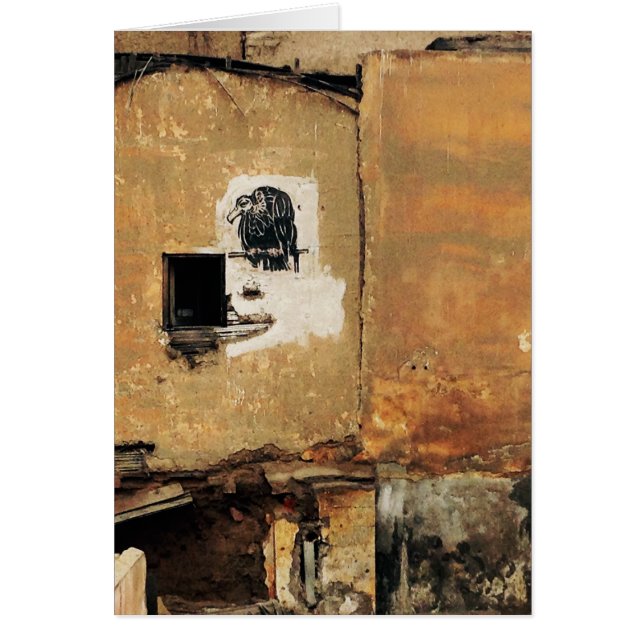 peruvian vulture urban wall cards (Front)