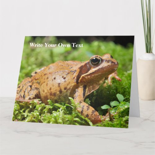 Pesach Passover Frog _ Write Your Own Text Card