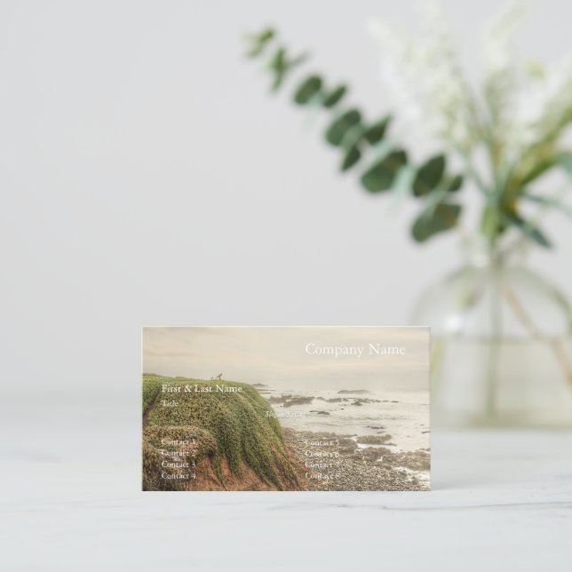 Pescadero 2024/13 business card (Standing Front)