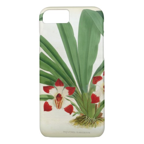 Pescatorea Klabochurum Orchid Lindenia Collection iPhone 87 Case