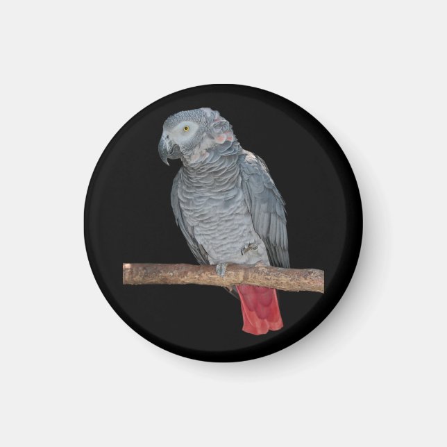 Pesky Parrot Magnet (Front)