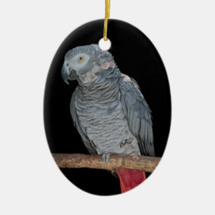 Pesky Parrot Ornament