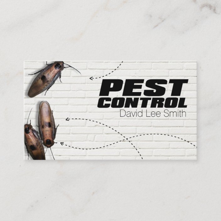Pest control business card