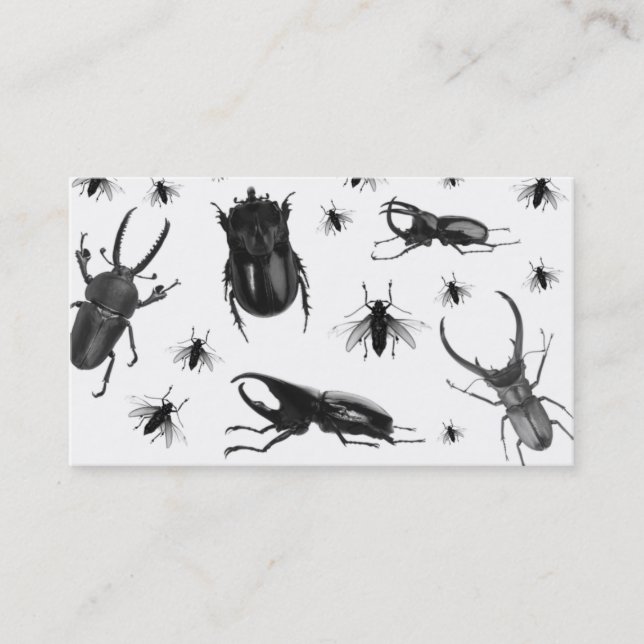 Pest Control Business Card Cockroach Flies (Front)