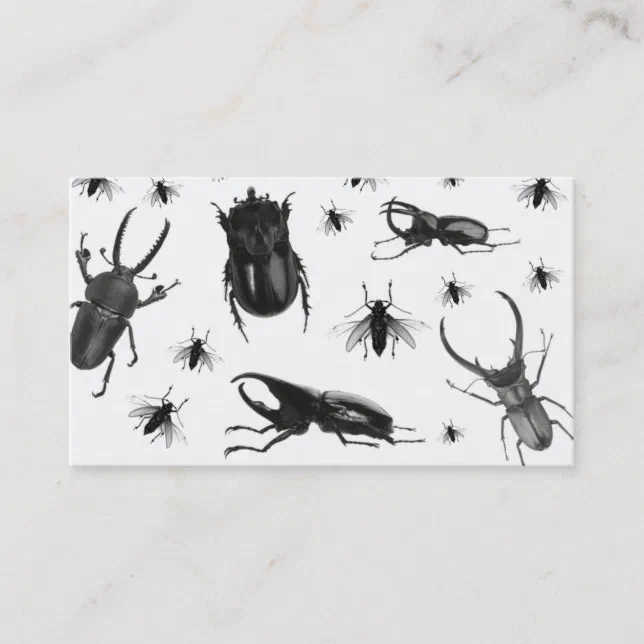 Pest Control Business Card Cockroach Flies | Zazzle
