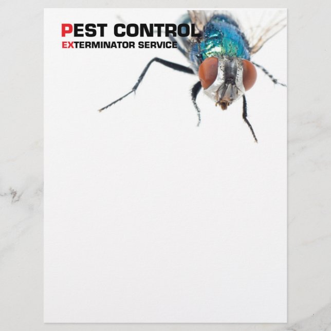 Pest control flyer (Front)
