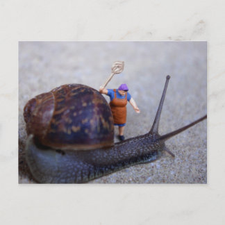 Pest Control Postcard