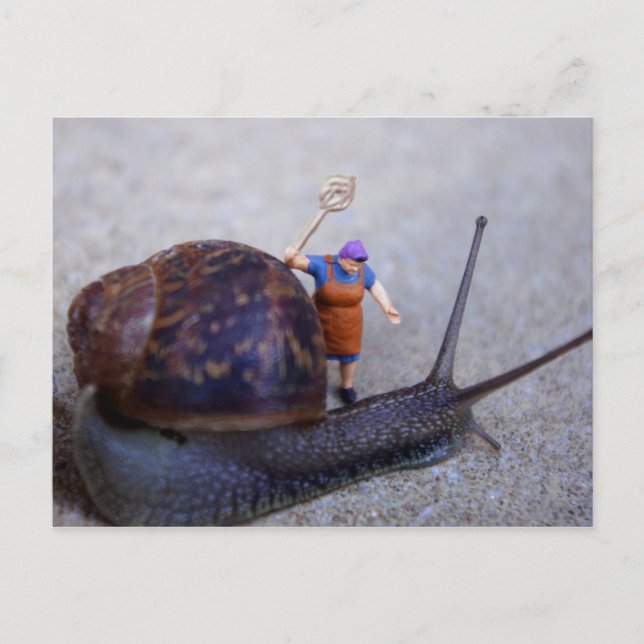 Pest Control Postcard (Front)