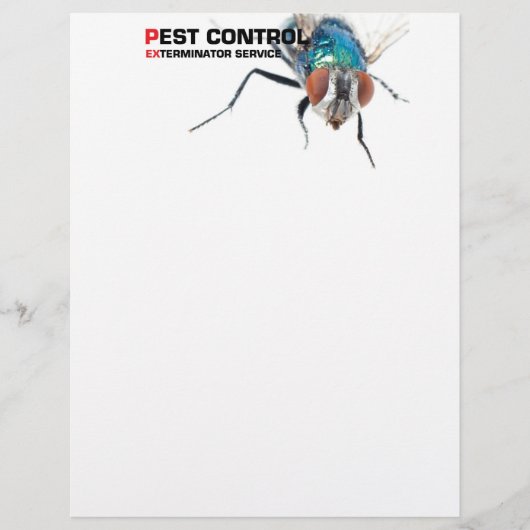 Pest control service (Front)