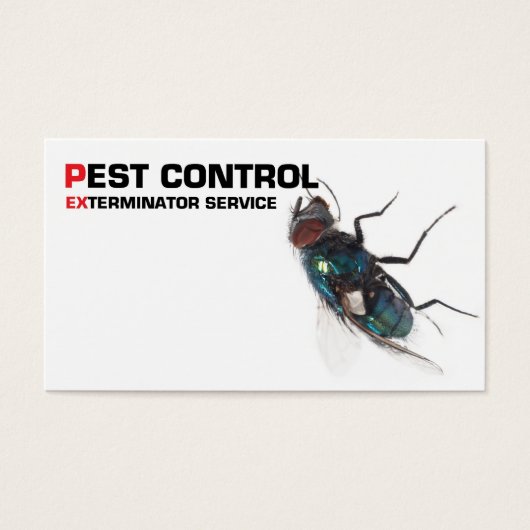 Pest control service (Front)