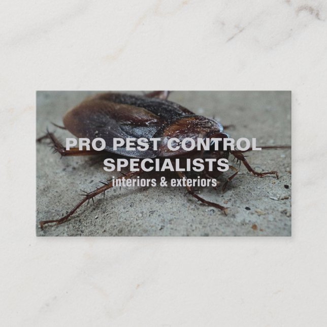 Pest Control Service Photo Business Card (Front)