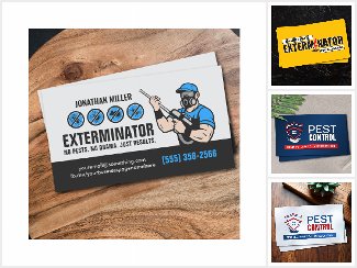 Pest Control Services Exterminator Business Cards