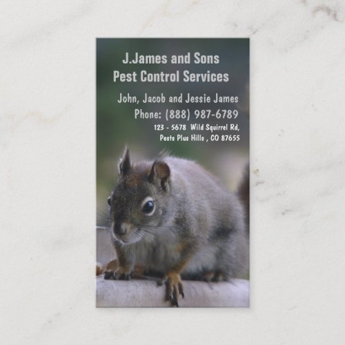 Pest Control Vermin Exterminator Business Card