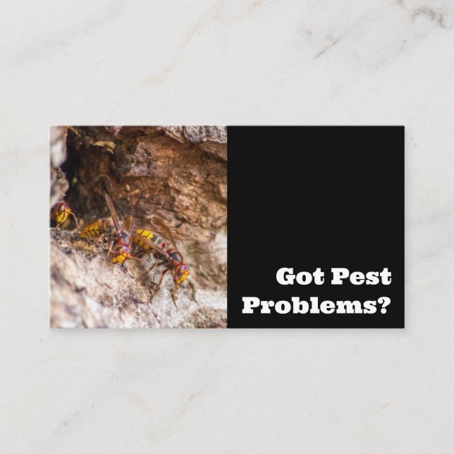 Pest exterminator for hornets wasps pest control business card (Front)