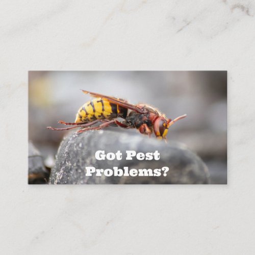 Pest exterminator for hornets wasps pest control business card