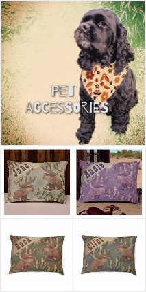 Pet Accessories 