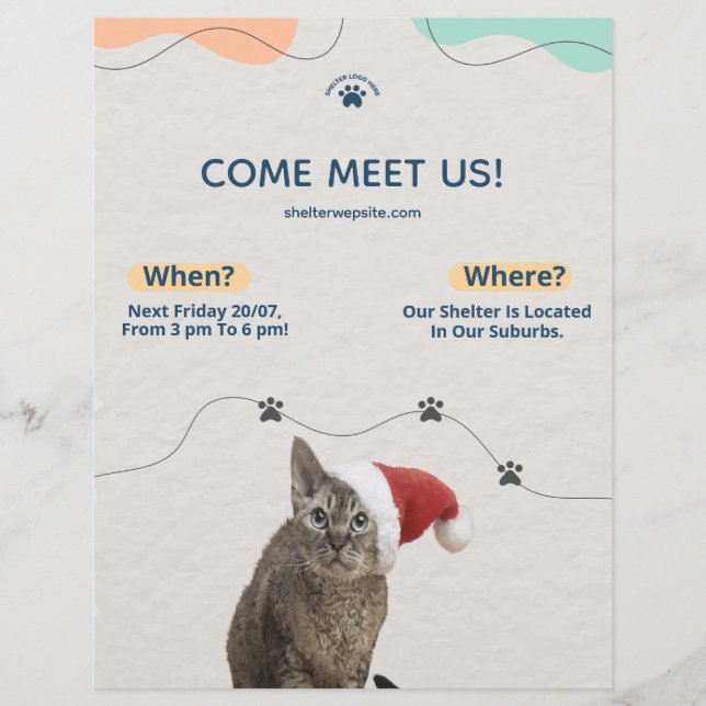 Pet Adoption, Animal Shelter Donations Flyer (Front)