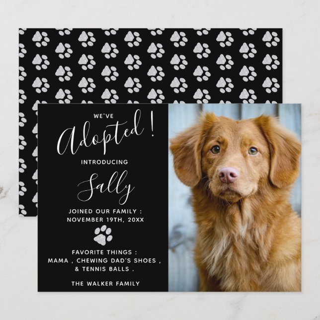 Pet Adoption Announcement - Elegant Modern New Pet (Front/Back)