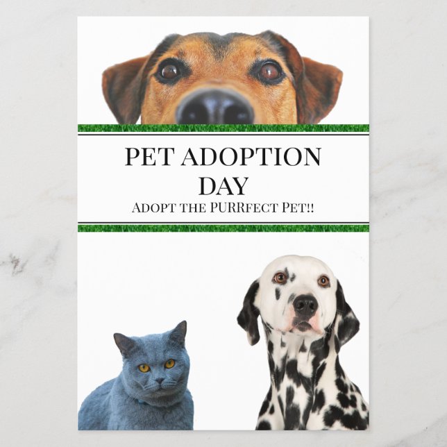 Pet Adoption Day Flyer (Front)