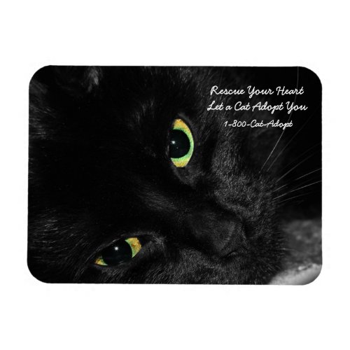 Pet Adoption Rescue Your Heart Adopt a Black Cat Magnet