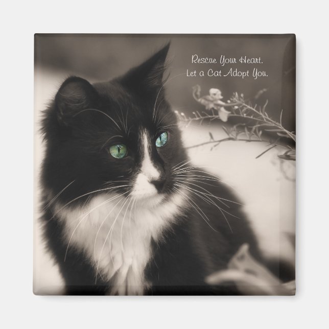 Pet Adoption Rescue Your Heart And Adopt A Cat Magnet (Front)