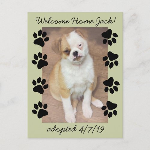 Pet Adoption Save The Date Photo with Paw Prints Announcement Postcard