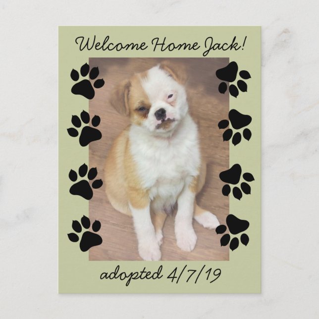 Pet Adoption Save The Date Photo with Paw Prints Announcement Postcard (Front)