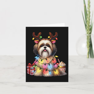 Pet Animal Lovers Shih Tzu Dogs Reindeer Antlers C Card