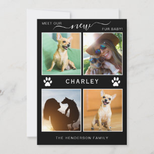 Pet Announcement Fur Baby Modern Photo Collage