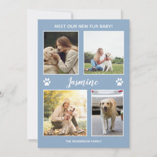 Pet Announcement New Fur Baby Photo Dusty Blue