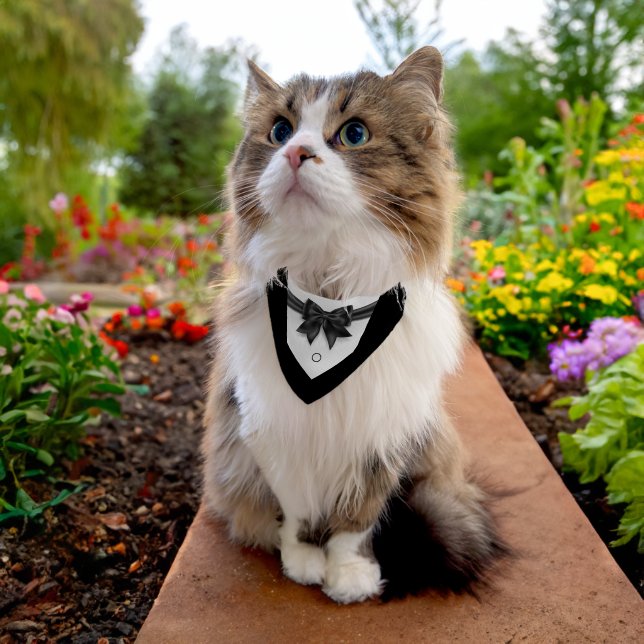 Pet apparel tuxedo black tie wedding black pet bandana collar (Cat)