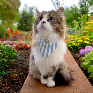 Pet Bandana Blue & White Stripe Pet Bandana Collar