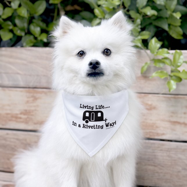 Pet Bandana for Aluminum Trailer Lovers! Collar (Dog)