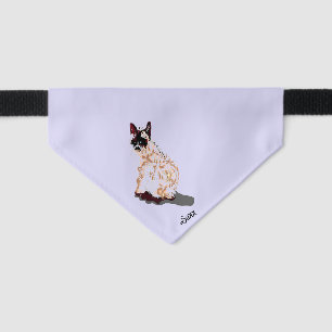 Pet Bandana : Siamese Cat Collar