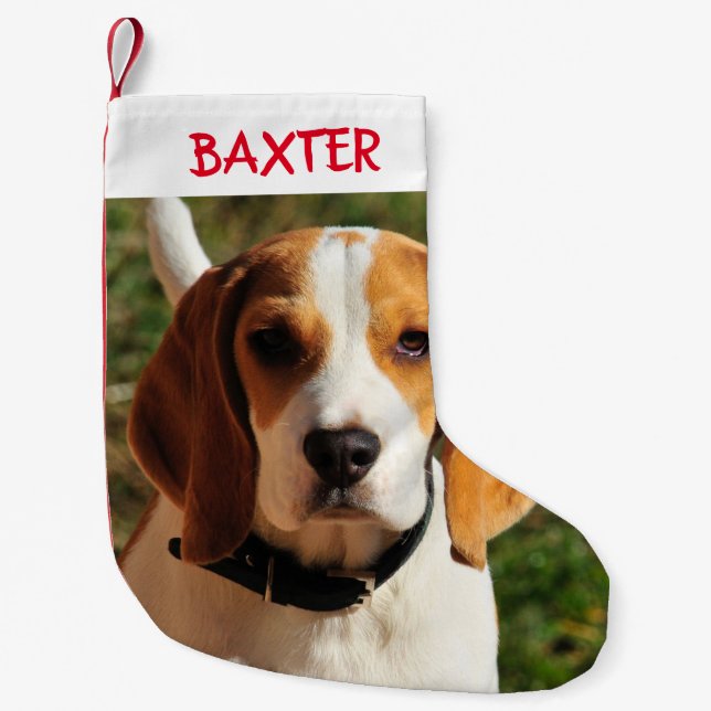 Pet Beagle Dog Photo Personalized  Small Christmas Stocking (Front)