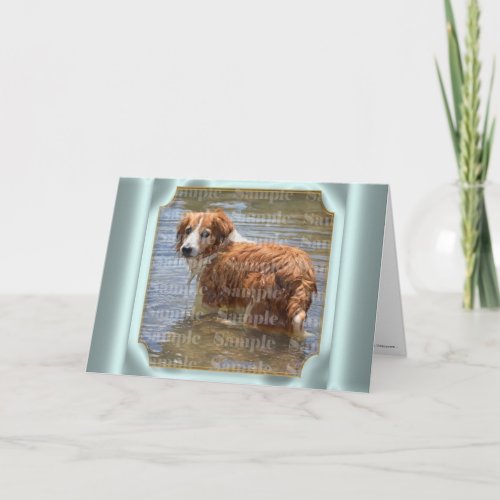 Pet bereavement PHOTO  with poem Card