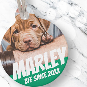 Pet BFF Best friend Photo Modern Cool Simple ID Tag