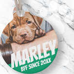 Pet BFF Best friend Photo Modern Cool Simple Pet ID Tag<br><div class="desc">Design is simple with a simple color background and sans serif typography for a superhero look.</div>