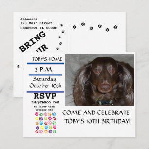 Pet Birthday Blue Line Pawprint Photo Invitation Postcard