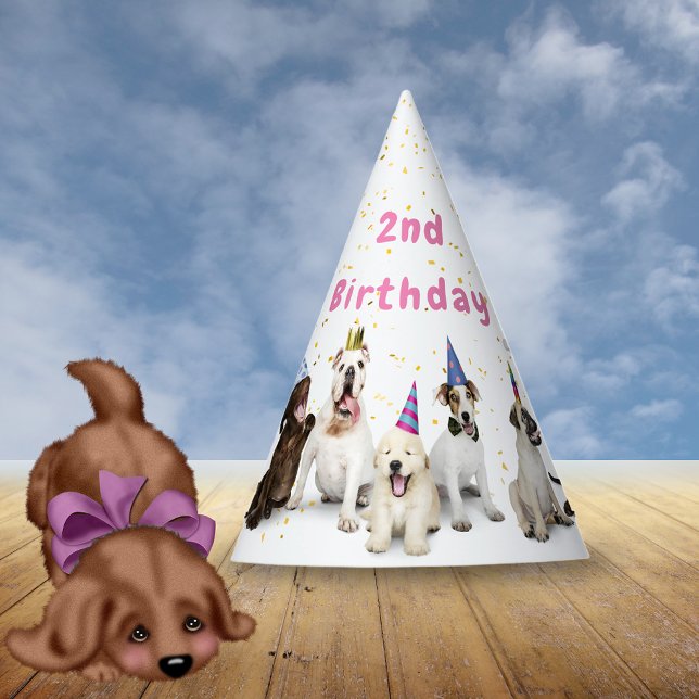 Pet Birthday Dog Party | Pink Hat (Creator Uploaded)
