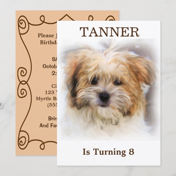 Pet Birthday Party Invitation | Zazzle